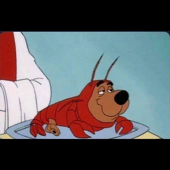 Meet your Posher, Sam - Picture 1 of 1